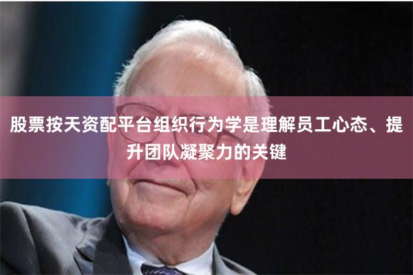 股票按天资配平台组织行为学是理解员工心态、提升团队凝聚力的关键