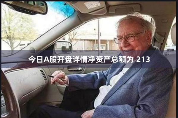 今日A股开盘详情净资产总额为 213